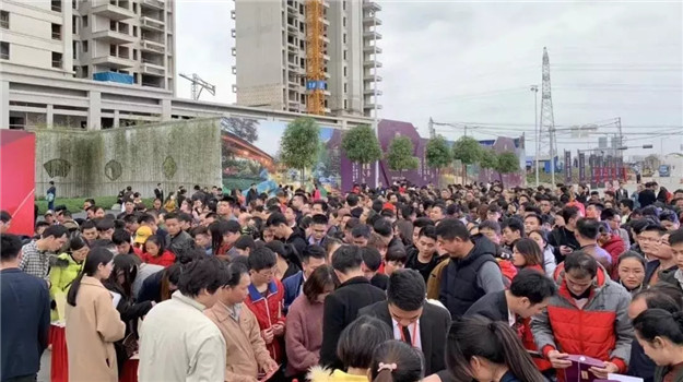 新澳门全年免费原料网